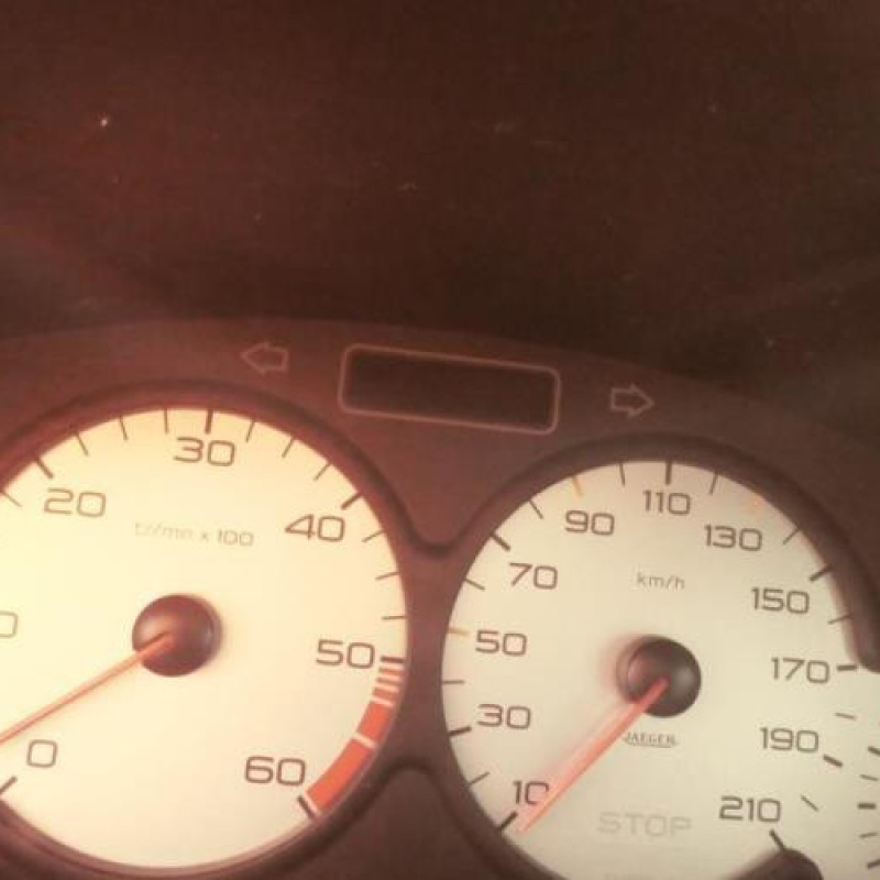 Porte arriere droit PEUGEOT 206 Photo n°10