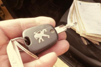 Porte arriere droit PEUGEOT 206