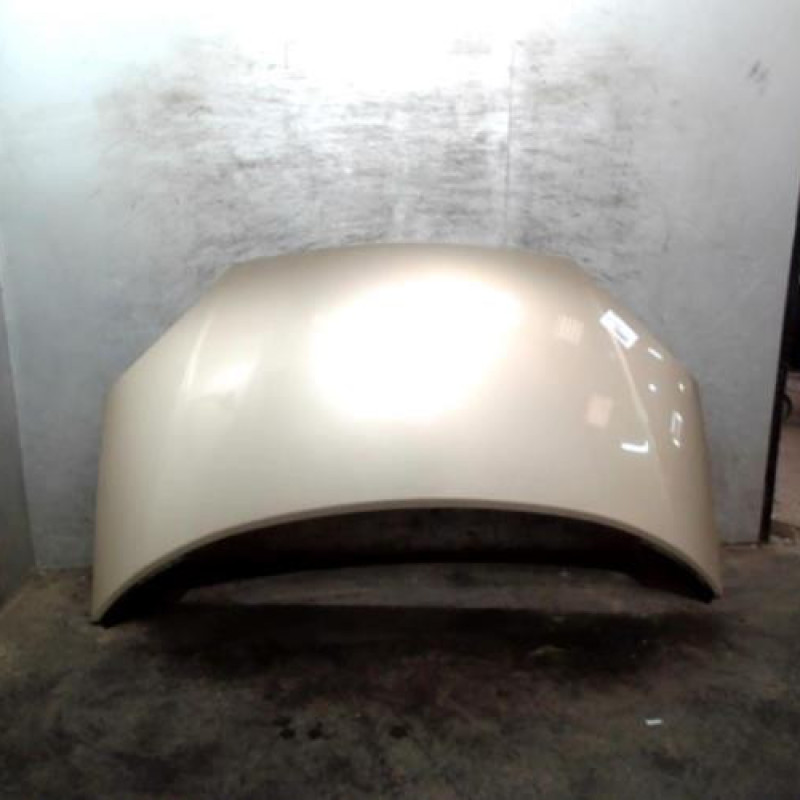 Capot FORD GALAXY 1 Photo n°1