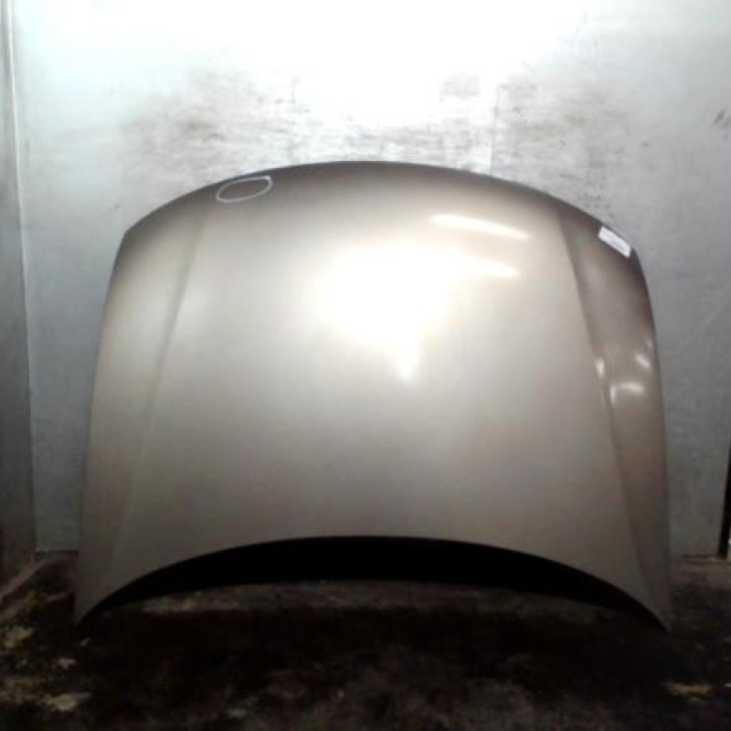 Capot VOLKSWAGEN PASSAT 4 Photo n°1