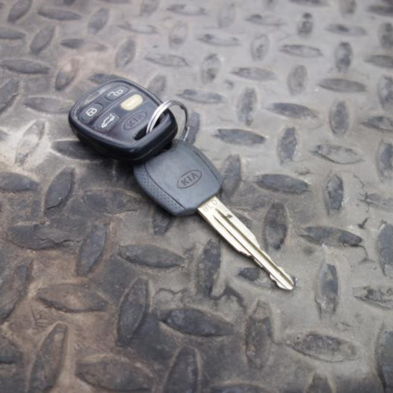 Porte avant droit KIA SORENTO 1 Photo n°9
