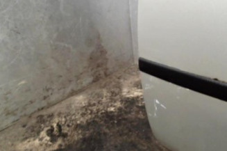 Porte avant droit FORD FIESTA 5