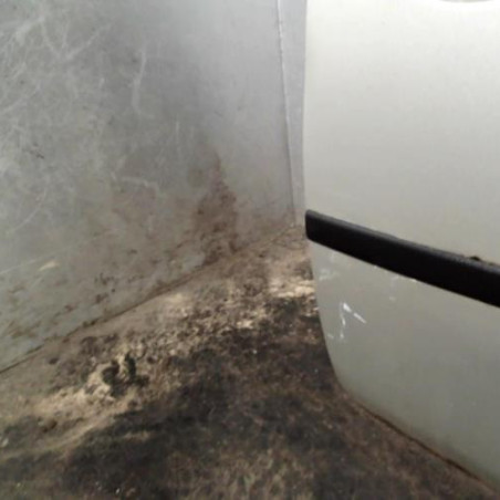Porte avant droit FORD FIESTA 5