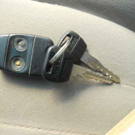 Cremaillere assistee ROVER 400 2