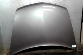 Capot RENAULT VEL SATIS Photo n°1