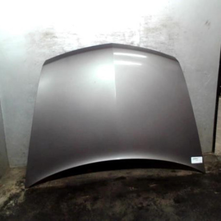 Capot RENAULT VEL SATIS Photo n°1