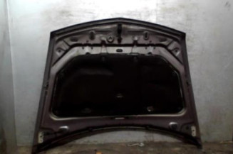 Capot RENAULT VEL SATIS