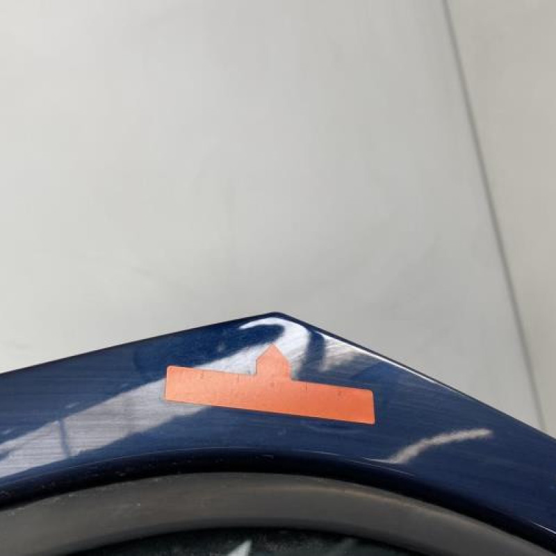 Porte arriere gauche CITROEN XSARA PICASSO Photo n°4