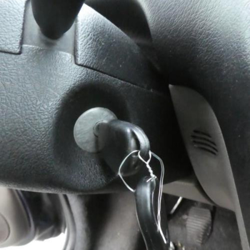 Porte arriere gauche CITROEN XSARA PICASSO Photo n°19