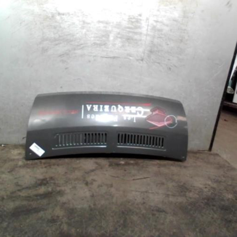 Capot FIAT DUCATO 3 Photo n°1