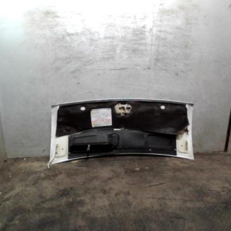 Capot FIAT DUCATO 3 Photo n°3
