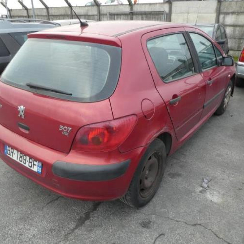 Porte arriere droit PEUGEOT 307 Photo n°5
