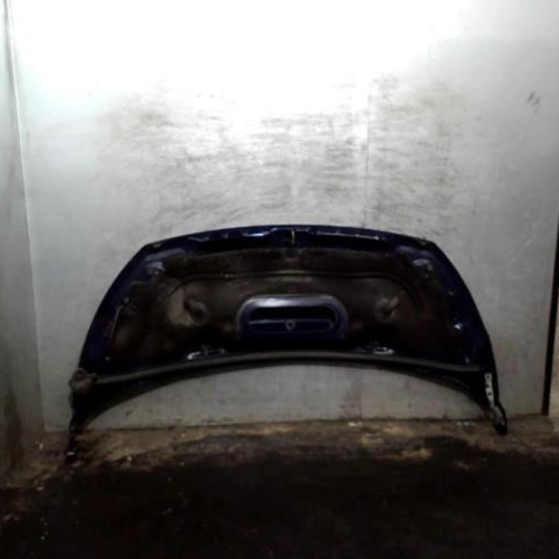 Capot PEUGEOT EXPERT 2 Photo n°2