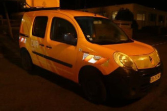 Pedalier d'accelerateur RENAULT KANGOO 2