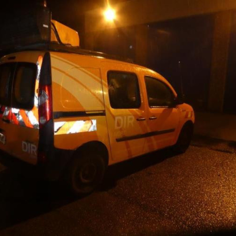 Pedalier d'accelerateur RENAULT KANGOO 2 Photo n°4