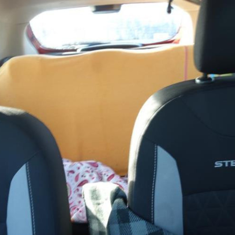 Pedalier d'accelerateur DACIA SANDERO 2 Photo n°9