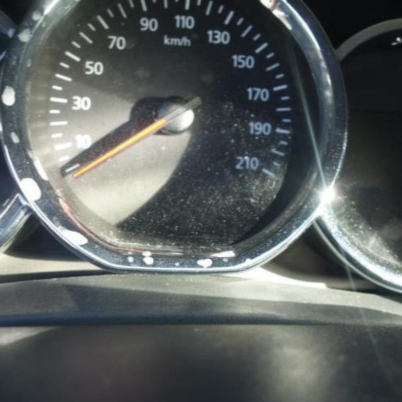 Pedalier d'accelerateur DACIA SANDERO 2 Photo n°12