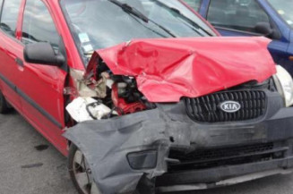 Malle/Hayon arriere KIA PICANTO 1