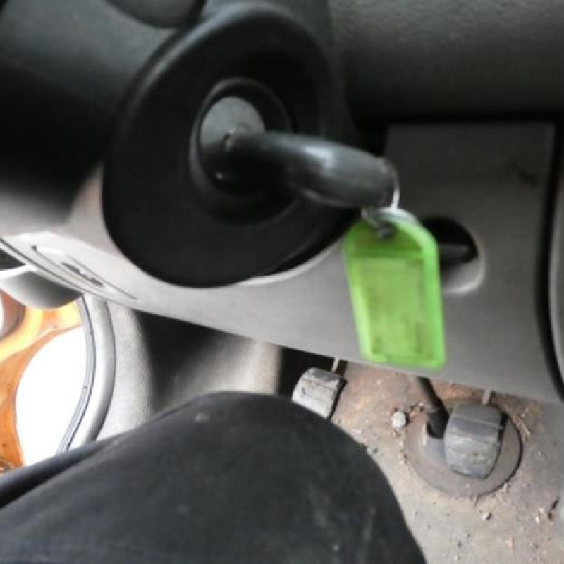 Capot RENAULT MASTER 2 Photo n°11