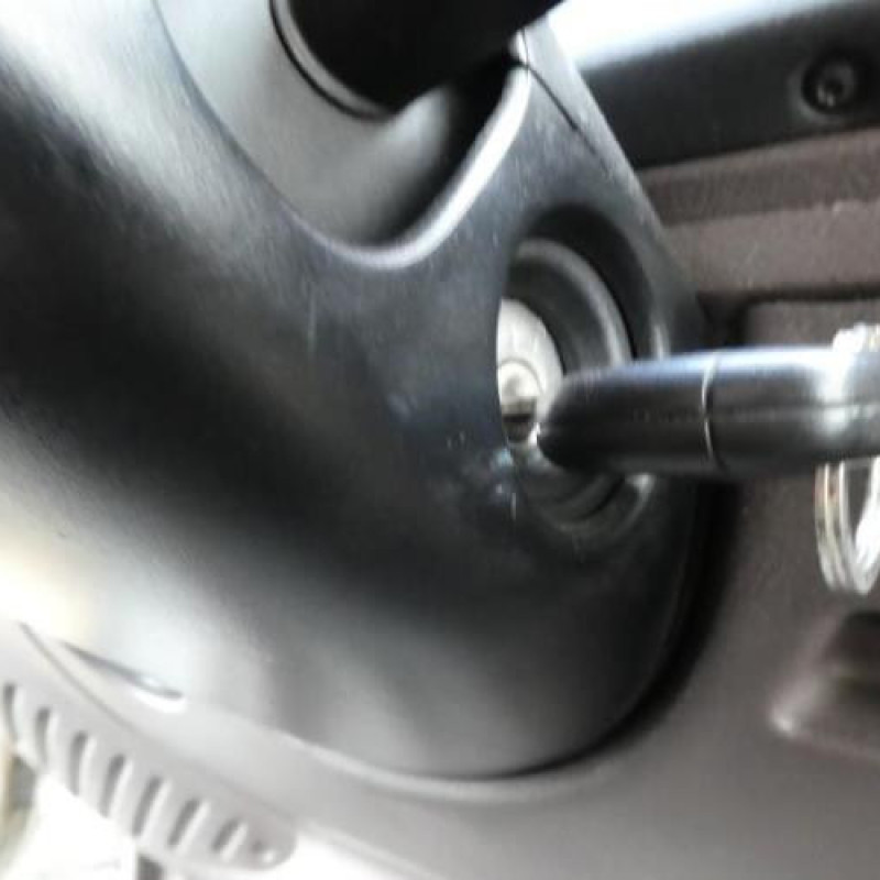 Pulseur d'air RENAULT MASTER 2 Photo n°13