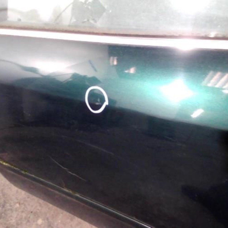 Porte arriere gauche AUDI A6 2 Photo n°2