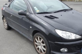 Cremaillere assistee PEUGEOT 206