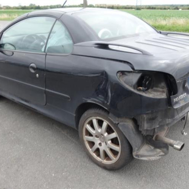 Cremaillere assistee PEUGEOT 206 Photo n°4