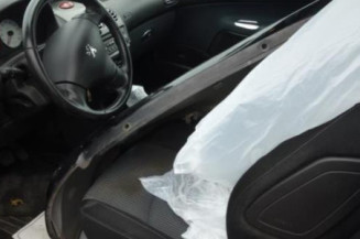 Cremaillere assistee PEUGEOT 206