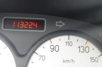 Cremaillere assistee PEUGEOT 206