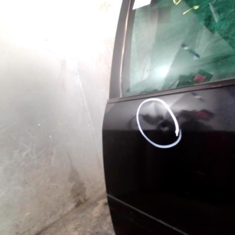 Porte arriere gauche VOLKSWAGEN TOURAN 1 Photo n°2