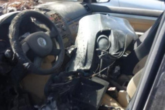 Porte arriere gauche VOLKSWAGEN TOURAN 1