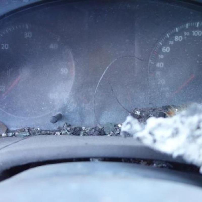 Porte arriere gauche VOLKSWAGEN TOURAN 1 Photo n°13