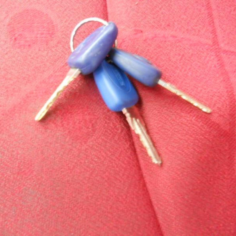 Pedalier d'accelerateur FIAT MULTIPLA Photo n°9