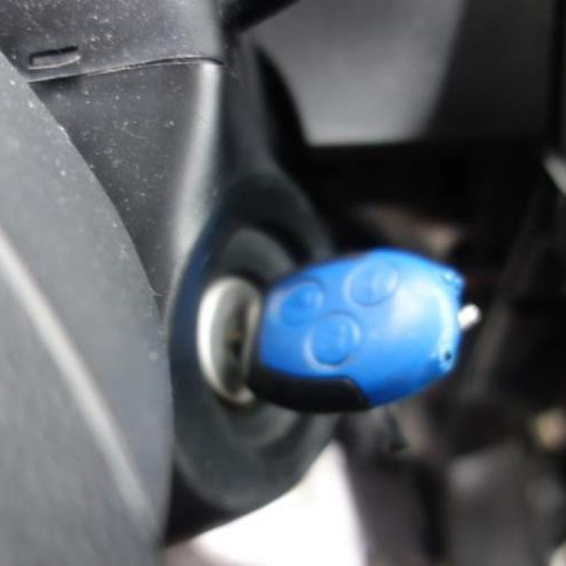 Porte de coffre droit FORD TRANSIT 4 Photo n°12