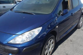 Capot PEUGEOT 307