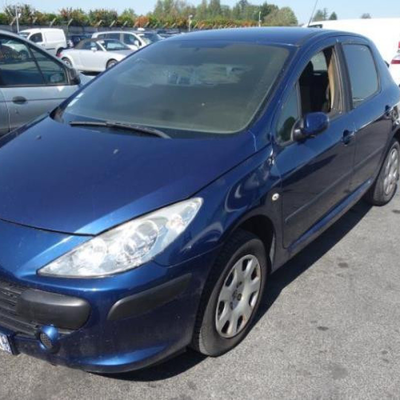 Capot PEUGEOT 307 Photo n°3