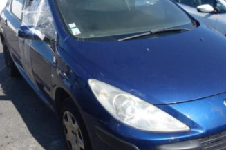 Capot PEUGEOT 307