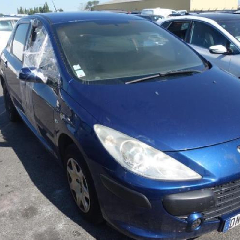 Capot PEUGEOT 307 Photo n°4