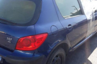Capot PEUGEOT 307