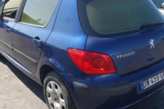 Capot PEUGEOT 307