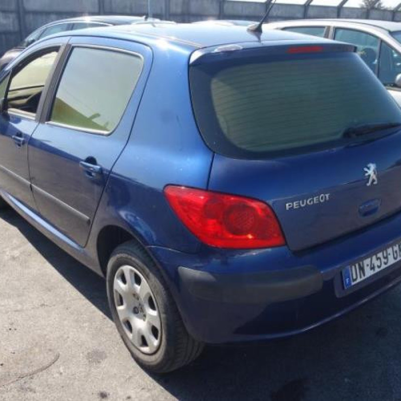 Capot PEUGEOT 307 Photo n°6