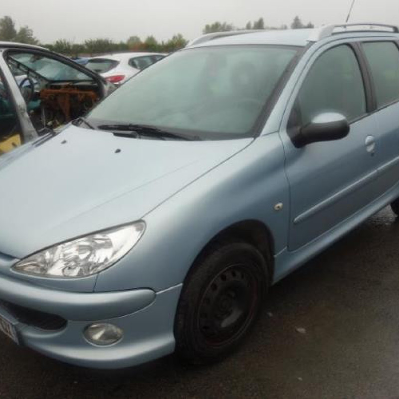 Porte arriere droit PEUGEOT 206 Photo n°3