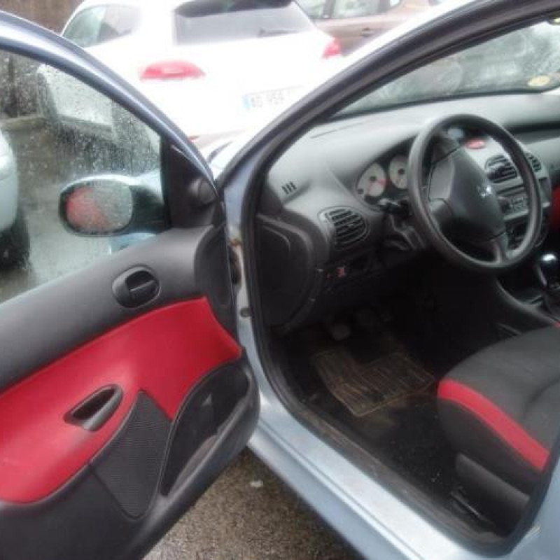 Porte arriere droit PEUGEOT 206 Photo n°7