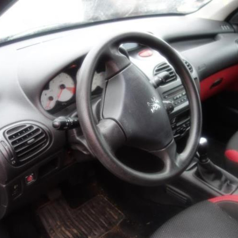 Porte arriere droit PEUGEOT 206 Photo n°8