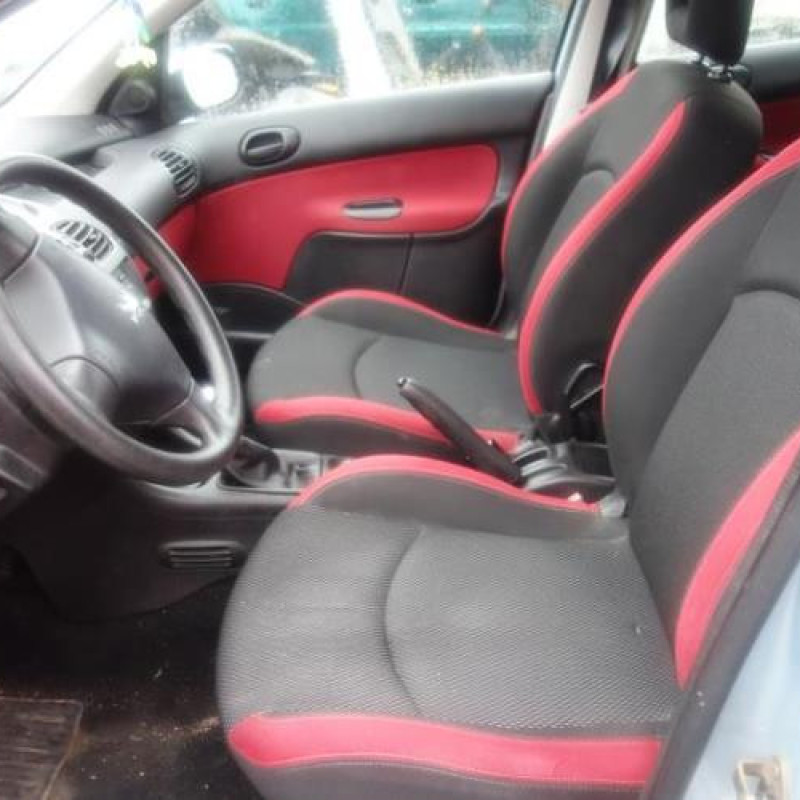 Porte arriere droit PEUGEOT 206 Photo n°9