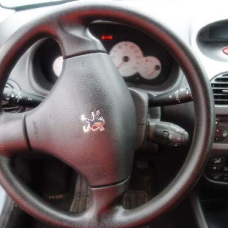 Porte arriere droit PEUGEOT 206 Photo n°11