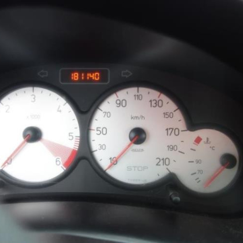 Porte arriere droit PEUGEOT 206 Photo n°13