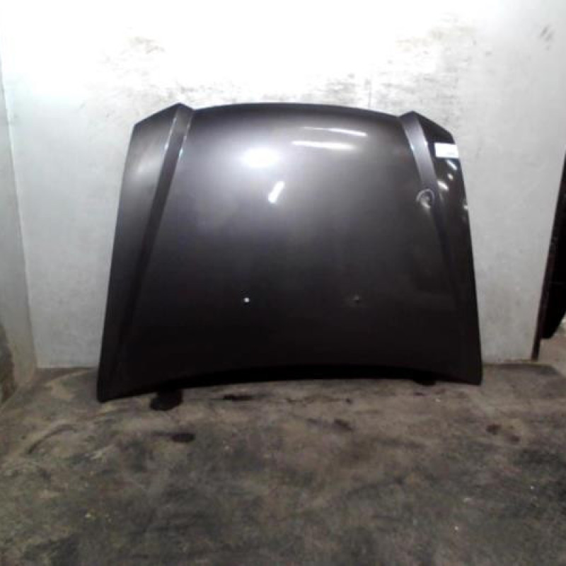 Capot FIAT STILO Photo n°1