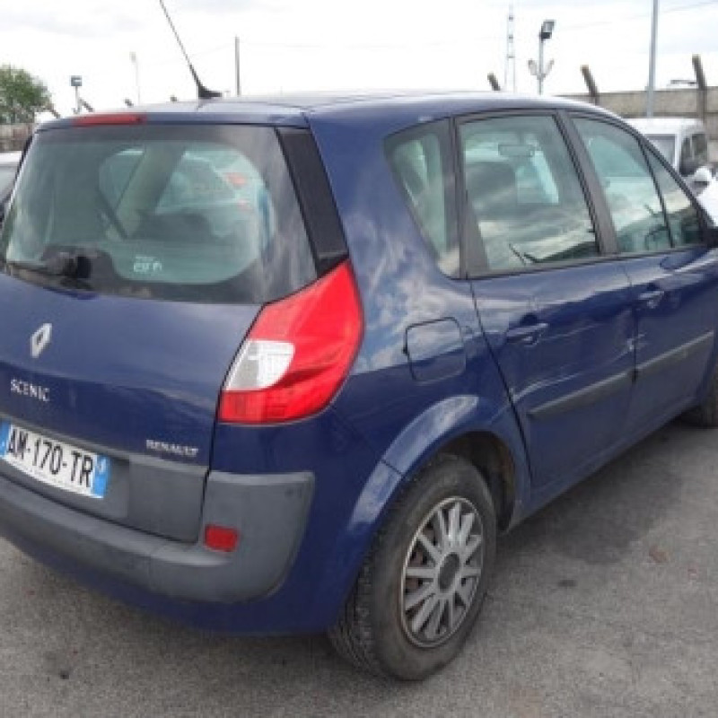 Capot RENAULT SCENIC 2 Photo n°5