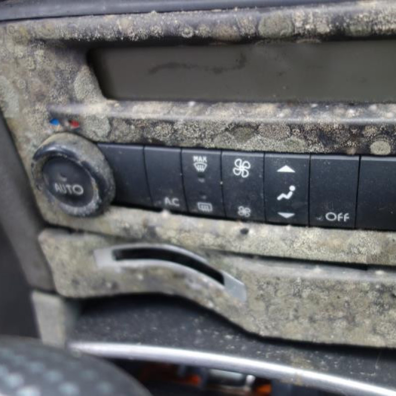 Attache ceinture arriere gauche RENAULT LAGUNA 2 Photo n°12